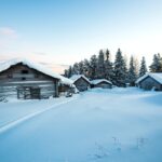 snow covered houses and land near trees during day