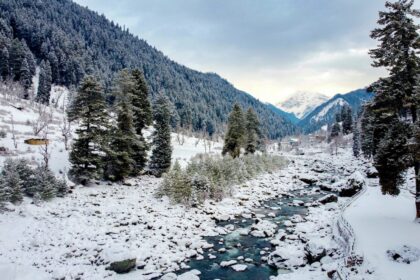 Snow Covered Ground