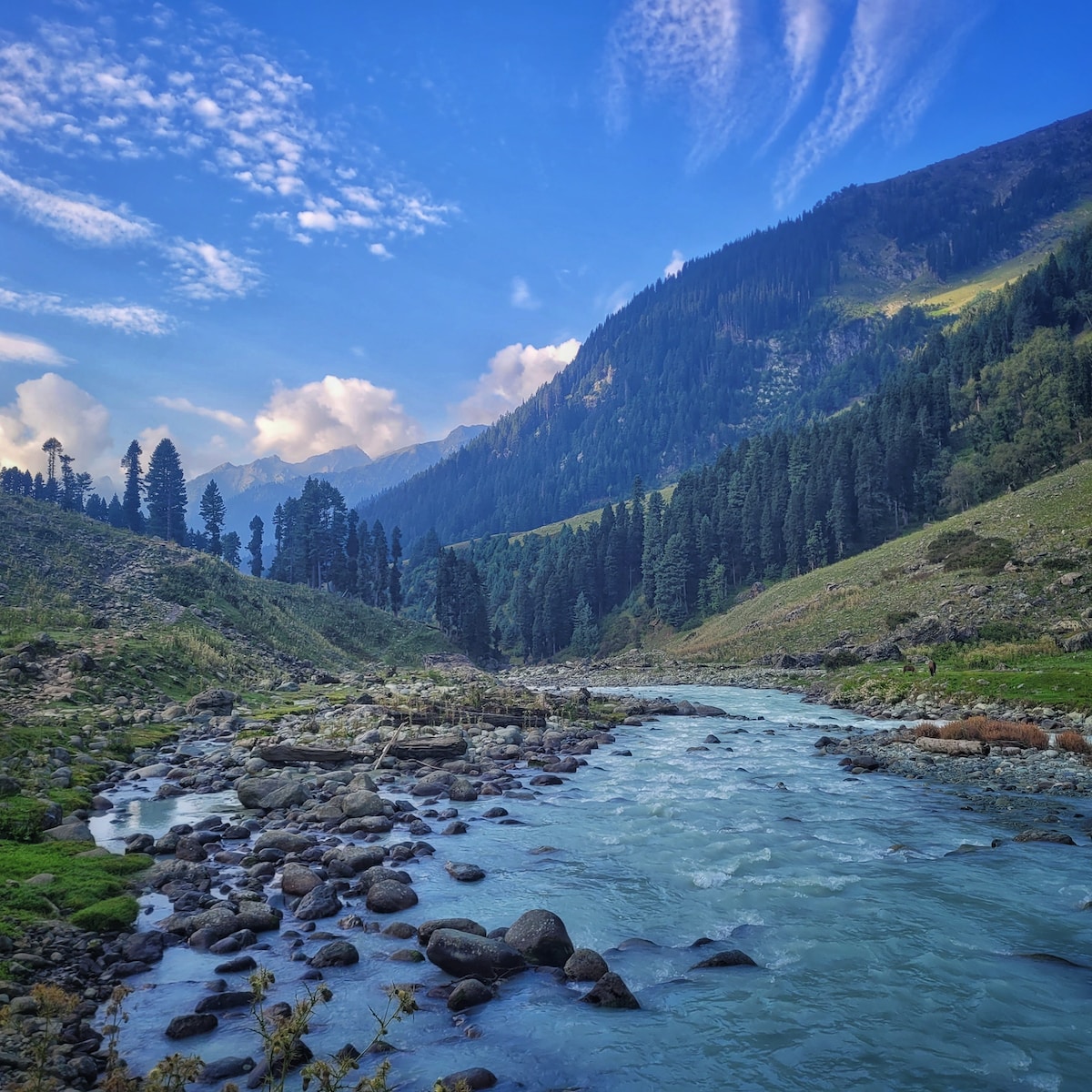 Rain & Snow Reported Today, Tomorrow Weather Forecast for J&K