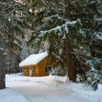 brown house near pine trees covered with snow