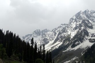 green pine trees near snow covered mountain during daytime