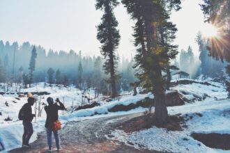 person in black jacket and blue denim jeans standing on snow covered ground near trees during