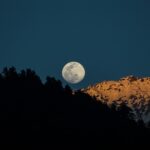 a full moon rising over a mountain with trees