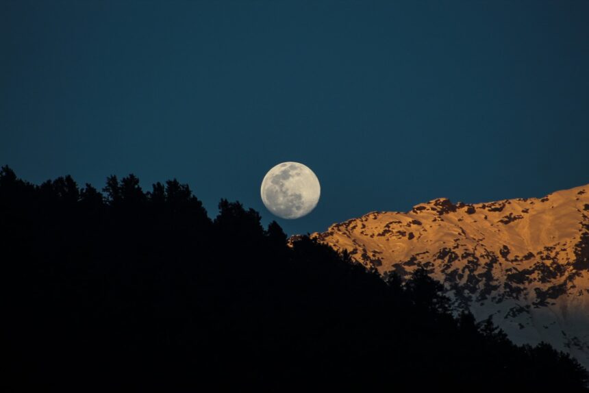 a full moon rising over a mountain with trees