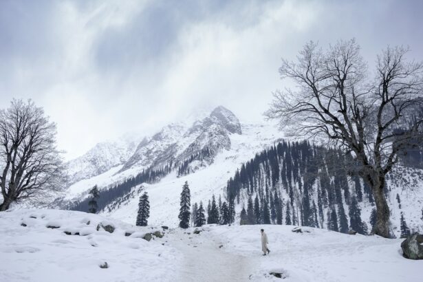 a snow covered mountain with trees and a trail