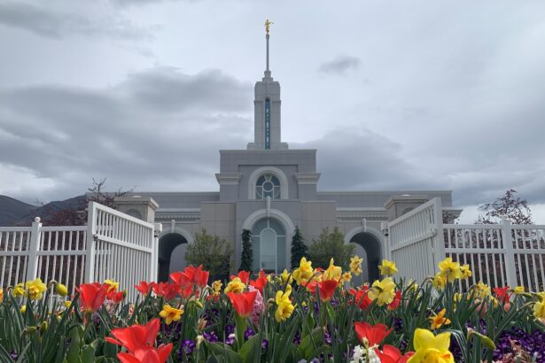 a group of flowers in front of a church