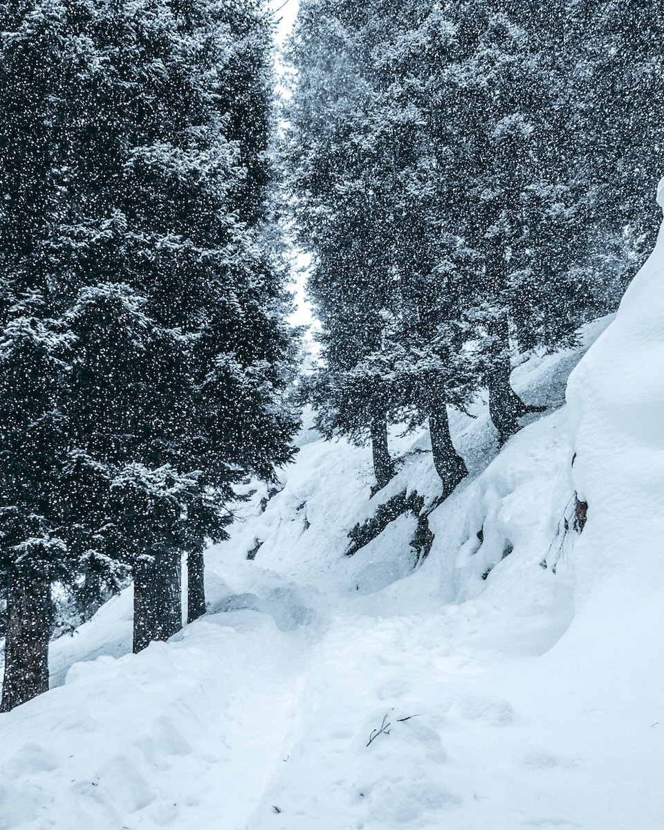 Weather Advisory for Jammu and Kashmir & Ladakh