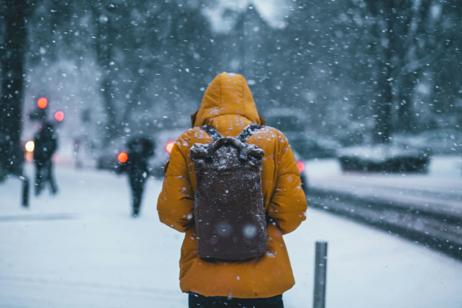 Rain and Snow Predicted in Many parts of Jammu & Kashmir During the next 24 Hours.