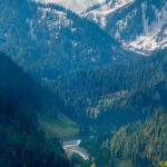 green trees on mountain during daytime