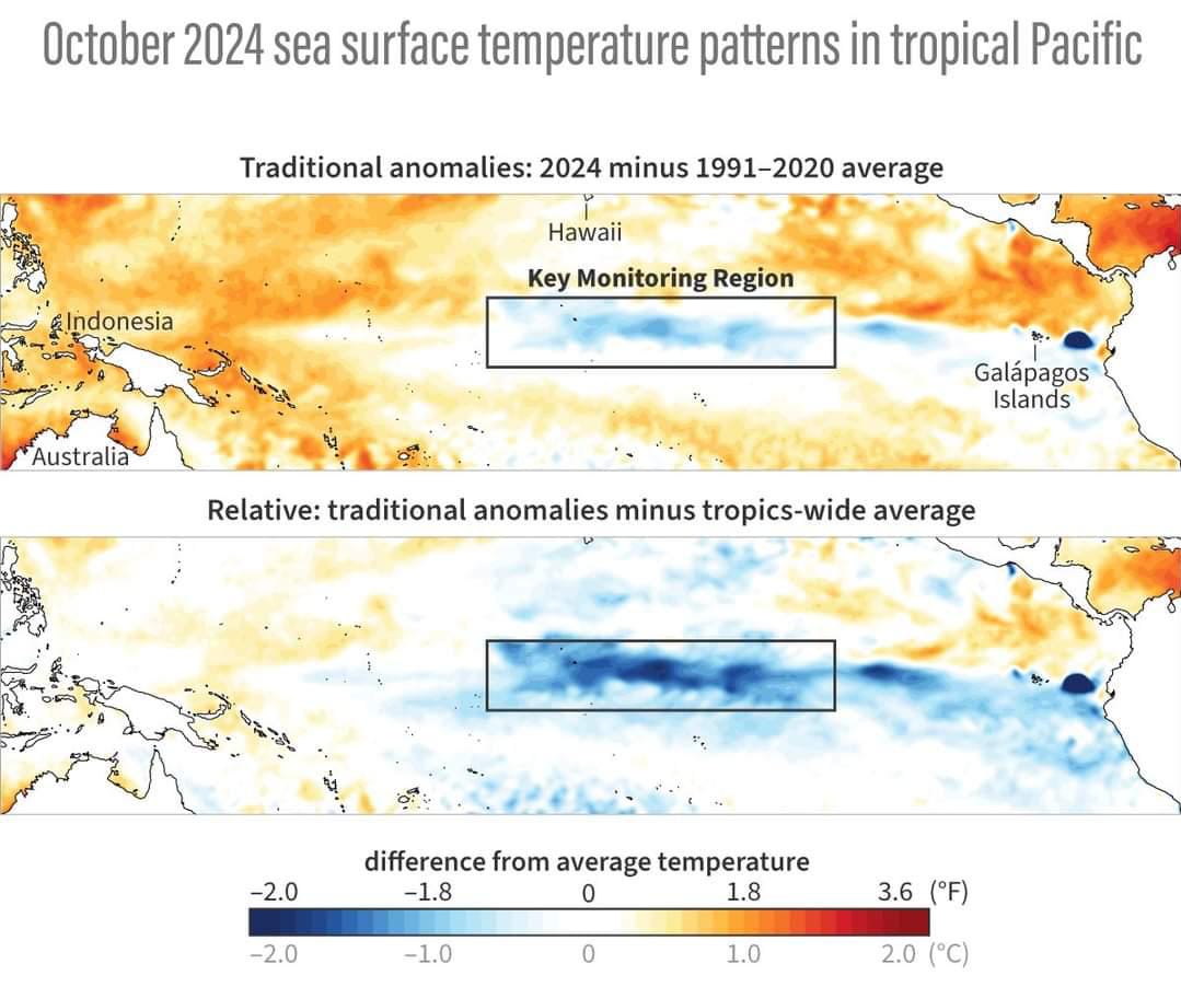 Chances of the Development of La Niña this year