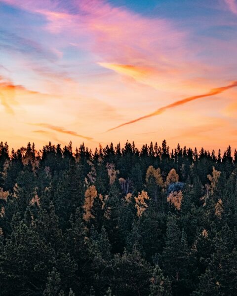 a beautiful sunset over a forest with trees