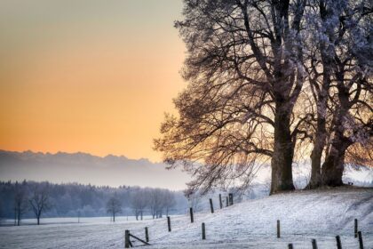 winter, snow, cold, tomorrow, sunrise, dawn, winter landscape, white, mountains, winter magic, wintry, frozen, forest, tree, light, icy, mood, heaven, nature, frost, snowfall, sunrise, forest, snowfall, snowfall, snowfall, snowfall, snowfall